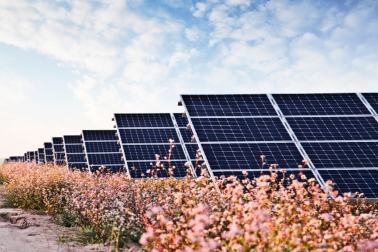 中國華能的“高性價比”光伏電站，妙招在這里！